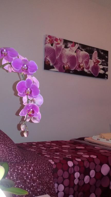 B&B Interno 8 Roma Cameră foto